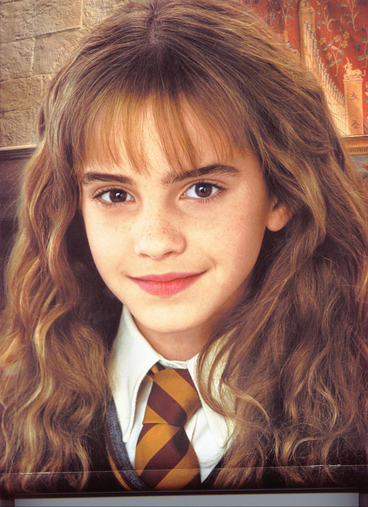 HERMIONE // CHAMBER OF SECRETS PAGE 2